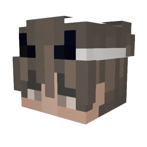 AYMAN_1AM Minecraft avatar head, 3D render