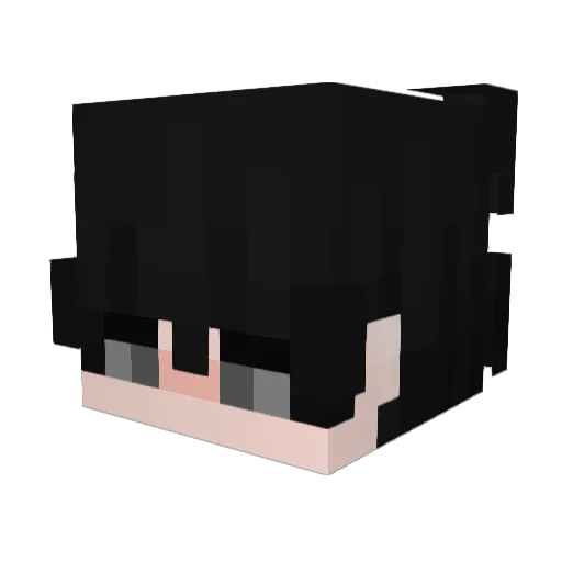 AYN0X_ Minecraft avatar head, 3D render