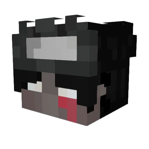 AYNfw Minecraft avatar head, 3D render