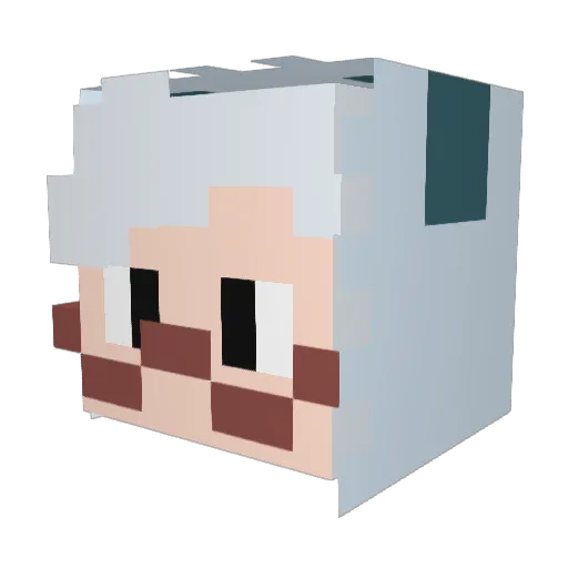 AYSNMrLeech Minecraft avatar head, 3D render