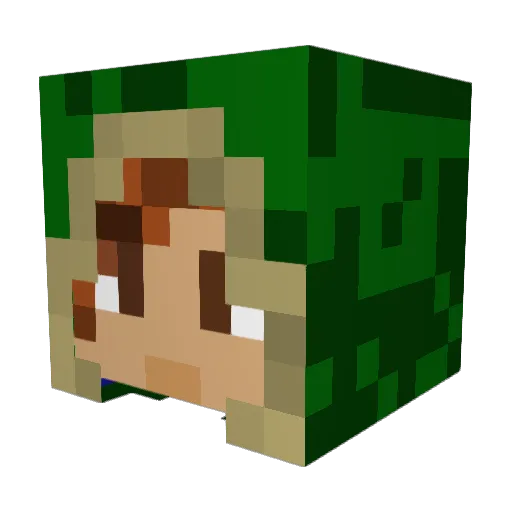 AYoSuddz Minecraft avatar head, 3D render