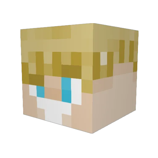AZCodeNinja4 Minecraft avatar head, 3D render