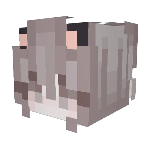 AZshmin Minecraft avatar head, 3D render