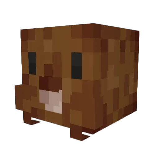 A_9I_DYMAL_COBA Minecraft avatar head, 3D render