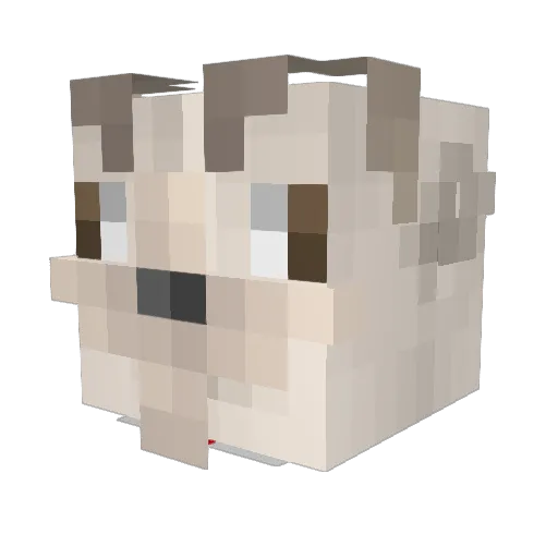 A_ALEJO_A Minecraft avatar head, 3D render