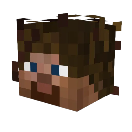 A_Camper17 Minecraft avatar head, 3D render