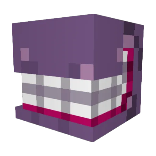 A_CleverUsername Minecraft avatar head, 3D render