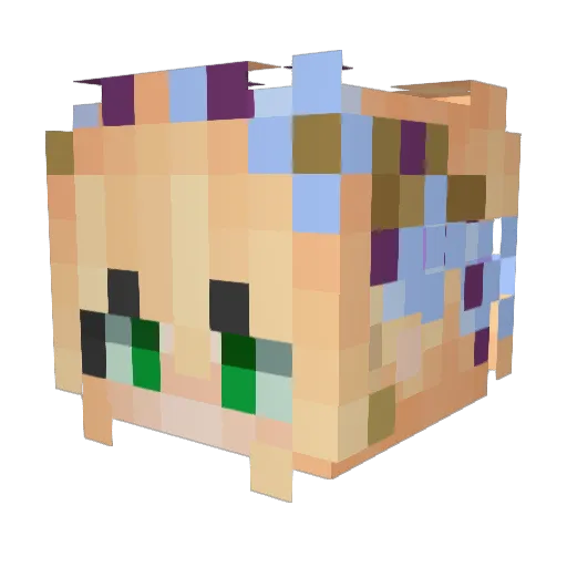 A_Confused_Ninja Minecraft avatar head, 3D render