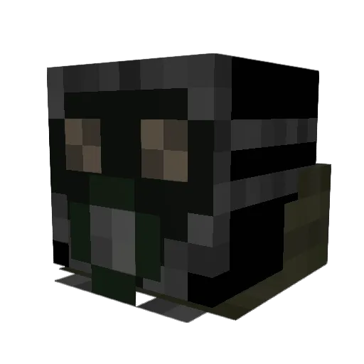A_Dash_Of_Salt Minecraft avatar head, 3D render