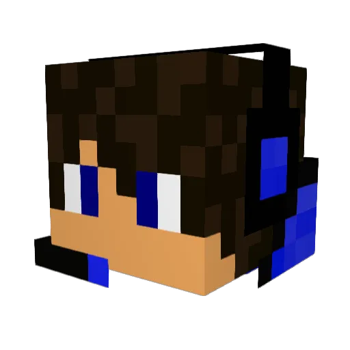 A_Derpy_turtle Minecraft avatar head, 3D render