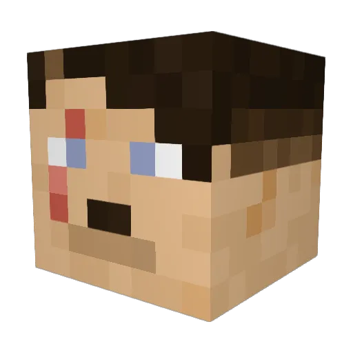 A_Dolfin_Hit_Her Minecraft avatar head, 3D render