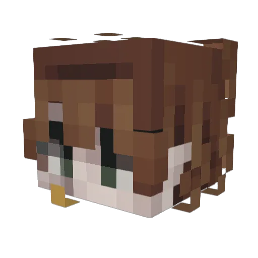 A_L4TUS Minecraft avatar head, 3D render
