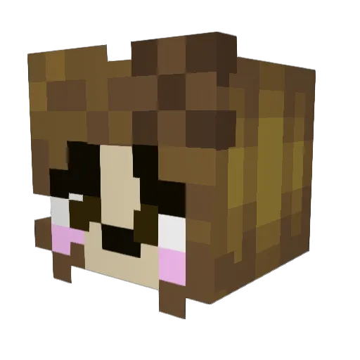 A_LOAF_OF_BREAD_ Minecraft avatar head, 3D render
