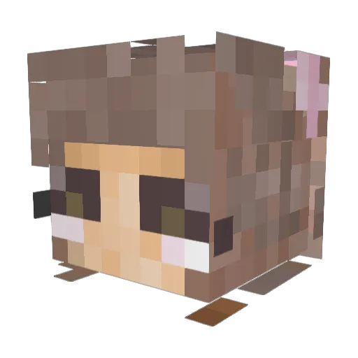 A_M_G Minecraft avatar head, 3D render