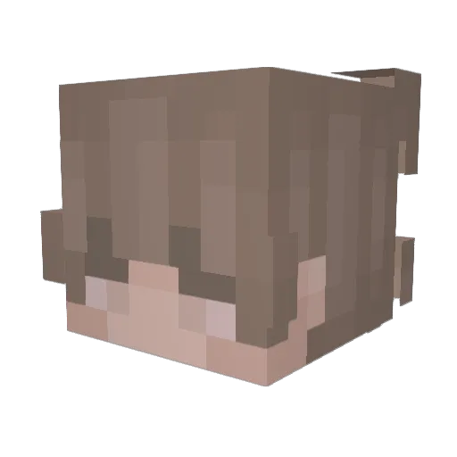 A_Mgr Minecraft avatar head, 3D render