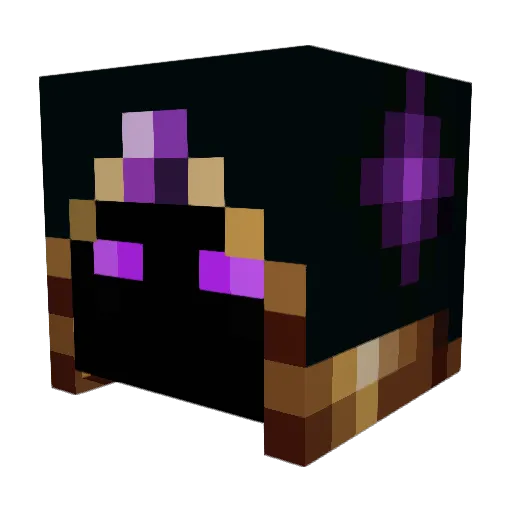 A_N00Dle1 Minecraft avatar head, 3D render