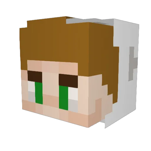 A_NdR3_ Minecraft avatar head, 3D render