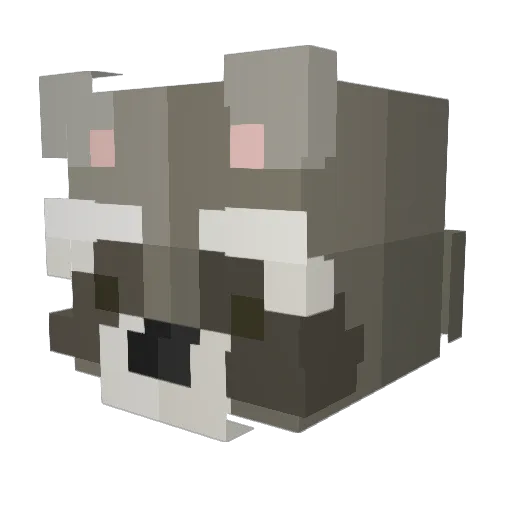 A_Person5684 Minecraft avatar head, 3D render