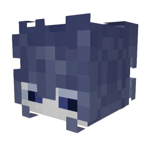 A_Pupil Minecraft avatar head, 3D render
