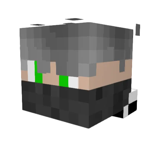 A_ROK24 Minecraft avatar head, 3D render