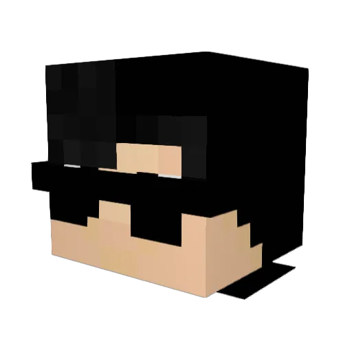 A_Random_Person5 Minecraft avatar head, 3D render