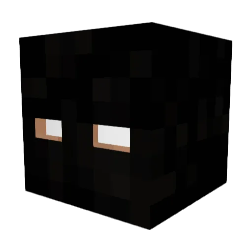 A_S_S_N Minecraft avatar head, 3D render