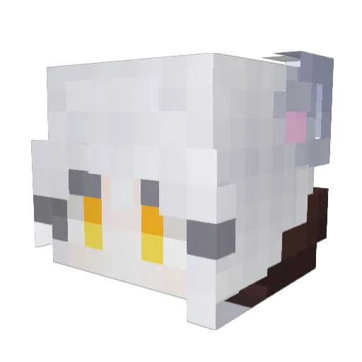 A_Seol Minecraft avatar head, 3D render