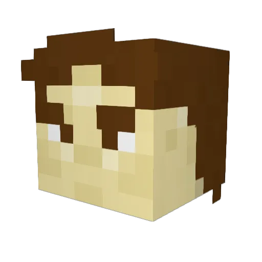 Minecraft-Avatar von A_Skyfish: Kopf als 3D-Render