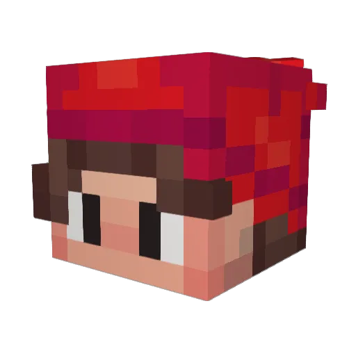 A_WayJay Minecraft avatar head, 3D render