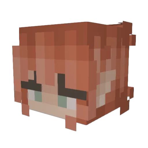 A_Wild_Boof_ Minecraft avatar head, 3D render