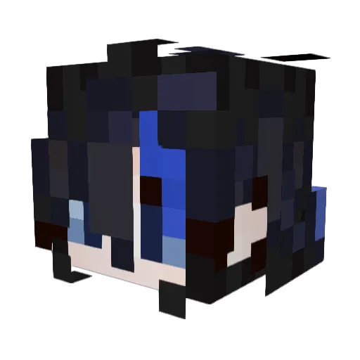 A____Stray Minecraft avatar head, 3D render