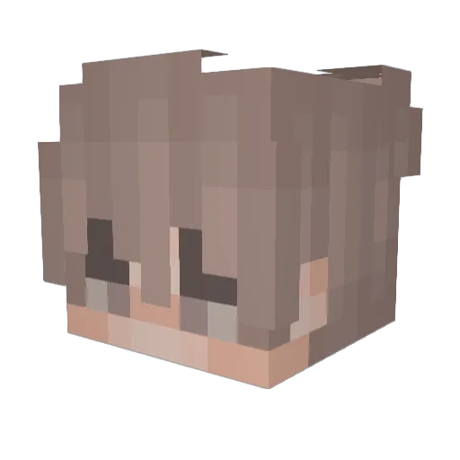 A_bee_over_there Minecraft avatar head, 3D render