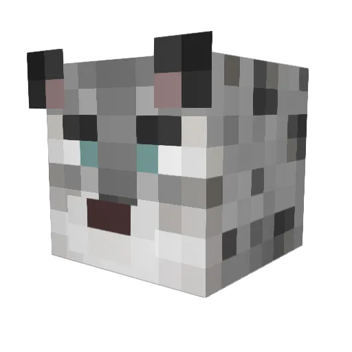 A_bel Minecraft avatar head, 3D render