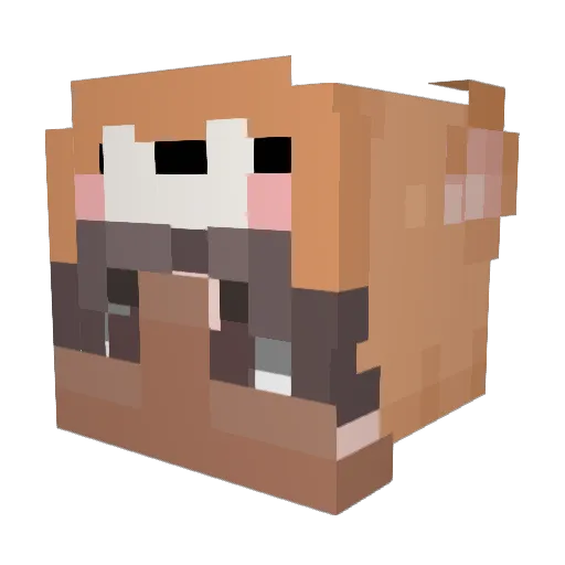 A_fish345 Minecraft avatar head, 3D render