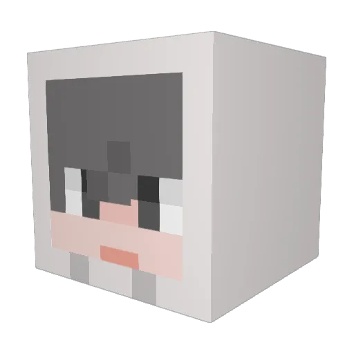A_fter Minecraft avatar head, 3D render
