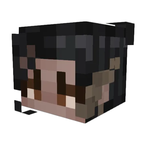 A_l_o_n_e_Ming Minecraft avatar head, 3D render