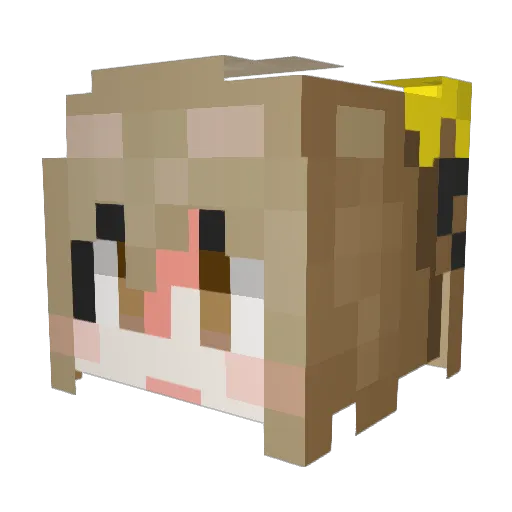 A_ning_ Minecraft avatar head, 3D render