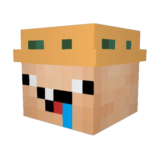 A_ns Minecraft avatar head, 3D render