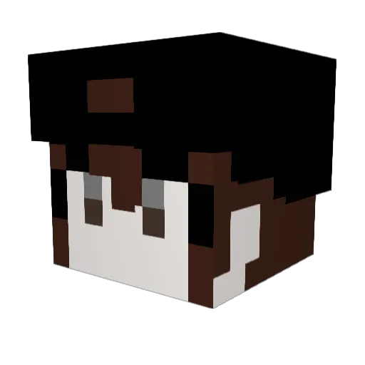 A_ron13 Minecraft avatar head, 3D render