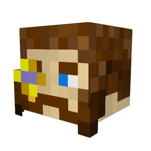 A_swarm_of_WASPS Minecraft avatar head, 3D render