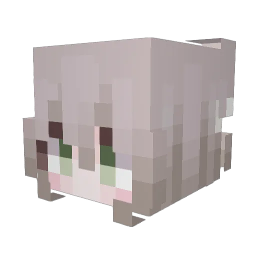 AaGa_2 Minecraft avatar head, 3D render