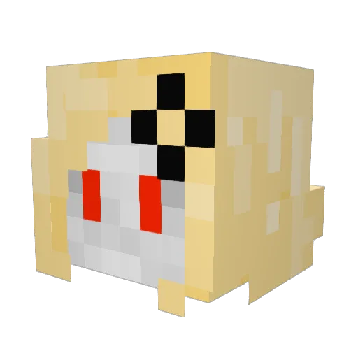 AaNickiMan Minecraft avatar head, 3D render