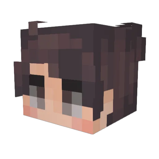 Aa_Jing Minecraft avatar head, 3D render