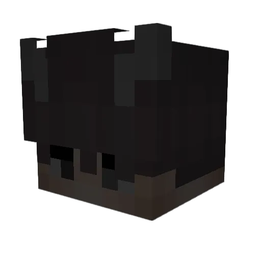 Aa_Kuba Minecraft avatar head, 3D render