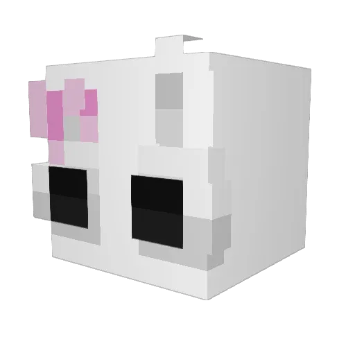 AaaOkej Minecraft avatar head, 3D render