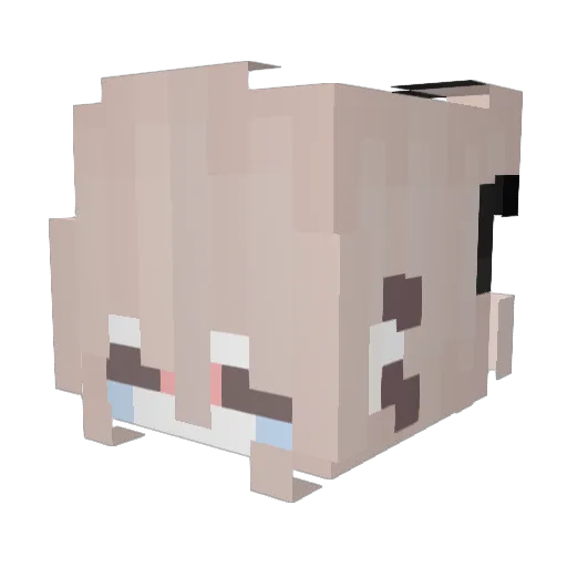 Aaa_JANS Minecraft avatar head, 3D render