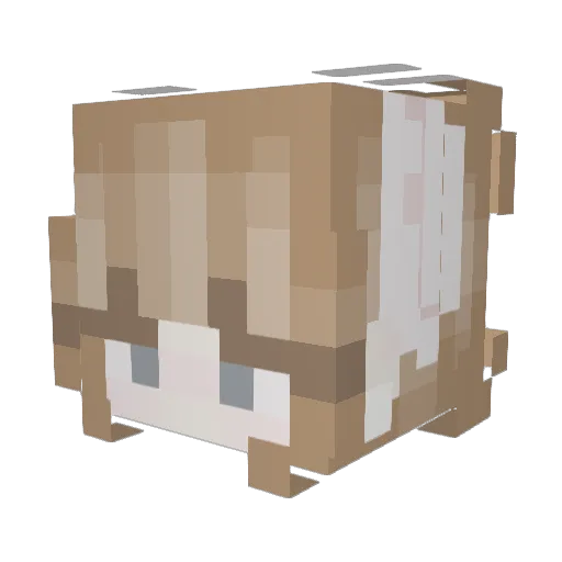 Aaaastrid Minecraft avatar head, 3D render