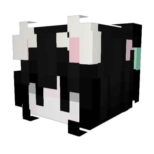 Aaadi1 Minecraft avatar head, 3D render
