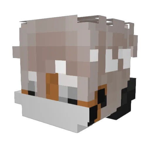 Aacute Minecraft avatar head, 3D render