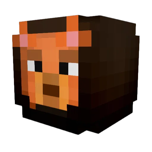 Aaden1 Minecraft avatar head, 3D render